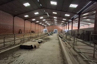 achat localcommercial gimt 32200