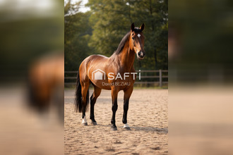 achat localcommercial guerande 44350