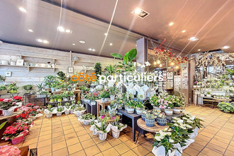 achat localcommercial la-chapelle-d-armentieres 59930