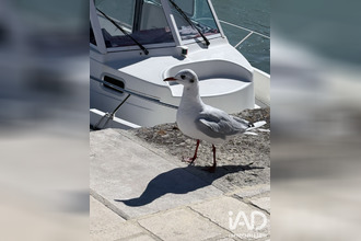 achat localcommercial la-flotte 17630
