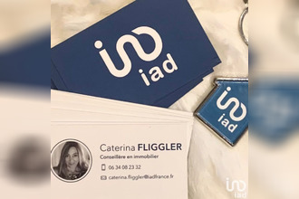 achat localcommercial la-roche-posay 86270