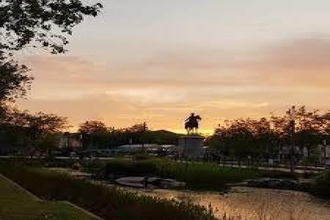 achat localcommercial la-roche-sur-yon 85000