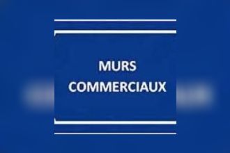 achat localcommercial le-barcares 66420