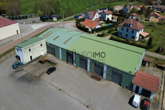 achat localcommercial le-syndicat 88120