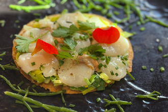 achat localcommercial le-touquet-paris-plage 62520