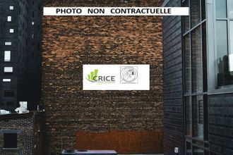 achat localcommercial les-gonds 17100