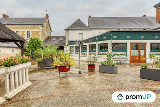 achat localcommercial ligueil 37240