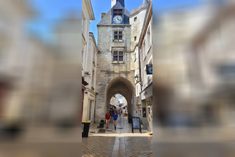 achat localcommercial lussault-sur-loire 37400