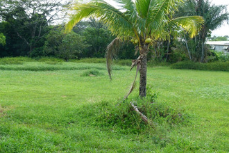 achat localcommercial matoury 97351