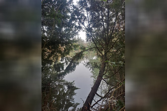 achat localcommercial mezieres-sur-oise 02240