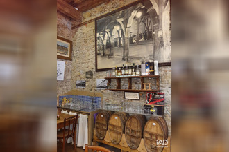 achat localcommercial mirepoix 09500