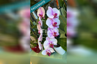 achat localcommercial moret-sur-loing 77250