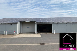 achat localcommercial morsbach 57600