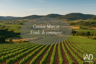 achat localcommercial mtady 34310