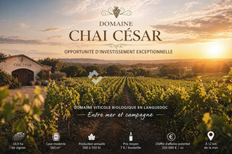 achat localcommercial nissan-lez-enserune 34440