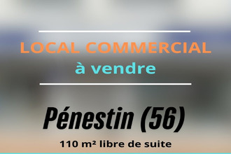 achat localcommercial penestin 56760