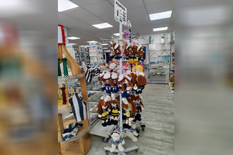 achat localcommercial penestin 56760