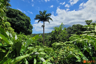 achat localcommercial petit-bg 97170