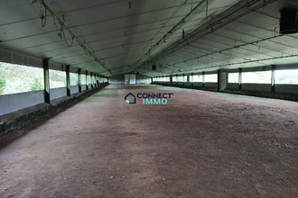 achat localcommercial plevin 22340