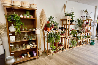 achat localcommercial riaille 44440