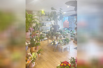 achat localcommercial roscoff 29680