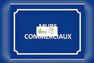 achat localcommercial royan 17200
