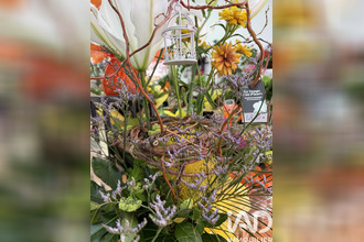 achat localcommercial salon-de-provence 13300