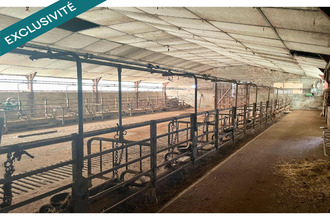 achat localcommercial saulzet-le-froid 63970