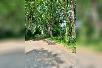 achat localcommercial segre 49500