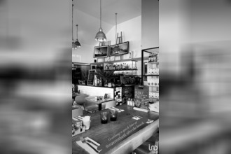 achat localcommercial st-barthelemy 97133