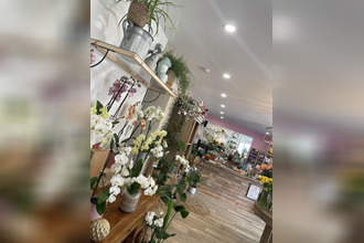 achat localcommercial st-gildas-des-bois 44530