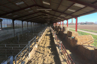 achat localcommercial st-jean-de-losne 21170