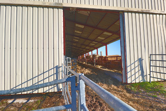 achat localcommercial st-jean-de-losne 21170