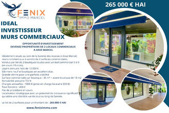 achat localcommercial st-martin 97150