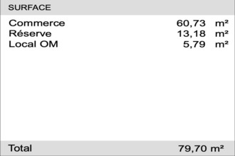 achat localcommercial st-medard-en-jalles 33160