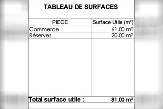 achat localcommercial st-medard-en-jalles 33160