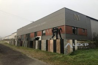 achat localcommercial st-pierre-de-plesguen 35720