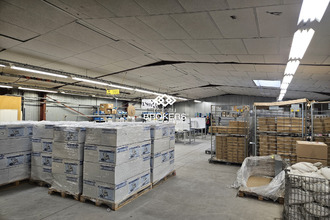 achat localcommercial st-trivier-de-courtes 01560