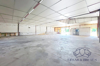 achat localcommercial st-vincent 43800