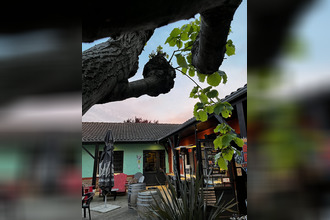 achat localcommercial stes 17100