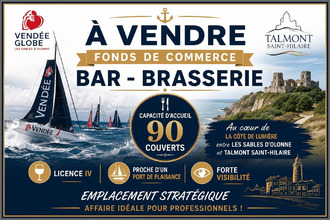 achat localcommercial talmt-st-hilaire 85440