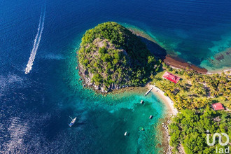 achat localcommercial terre-de-haut 97137