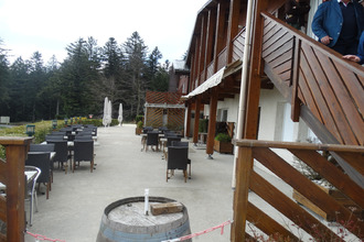 achat localcommercial thelis-la-combe 42220