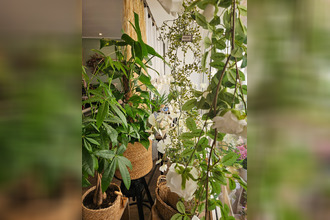 achat localcommercial tournon-sur-rhone 07300