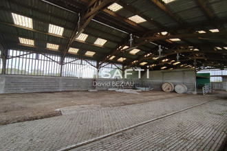 achat localcommercial vritz 44540