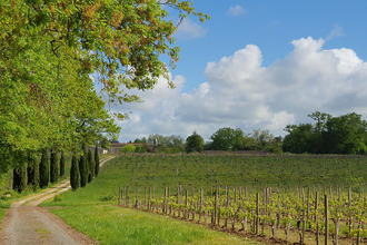 achat localcommercial yvrac 33370