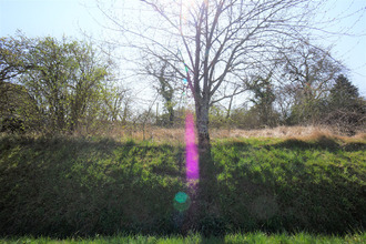 achat maison aillant-sur-tholon 89110