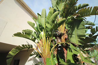 achat maison ajaccio 20000