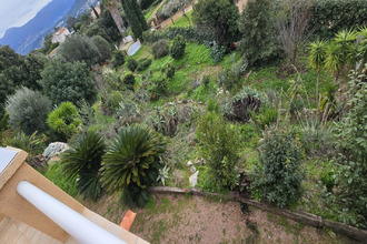 achat maison alata 20167