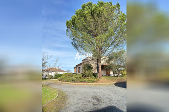 achat maison albi 81000